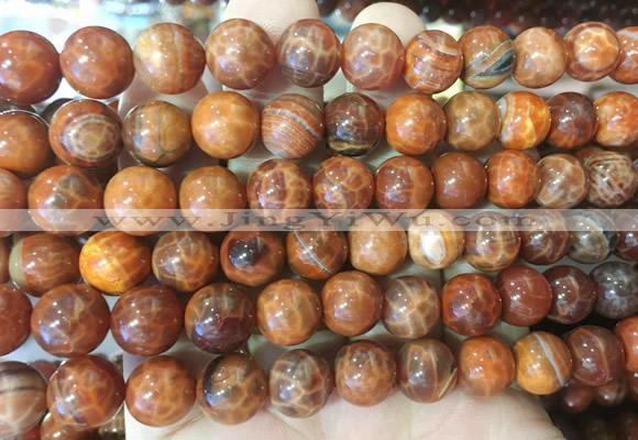 AGBS310 15 inches 10mm round red dragon veins agate beads wholesale