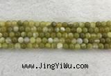 CAA1951 15.5 inches 6mm round banded agate gemstone beads