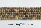 CAA2349 15.5 inches 6mm round crazy lace agate beads wholesale