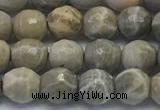 CAA3961 15.5 inches 6mm faceted round chrysanthemum agate beads