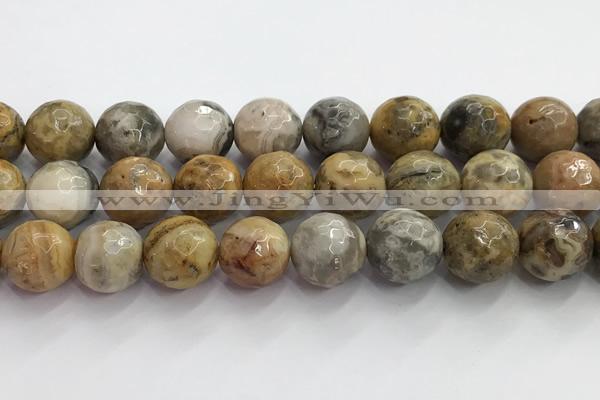 CAA5295 15.5 inches 14mm faceted round crazy lace agate beads wholesale