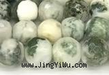 CAA5800 15 inches 6mm faceted round tree agate beads