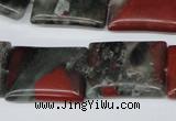 CAF02 15.5 inches 18*25mm rectangle African bloodstone beads
