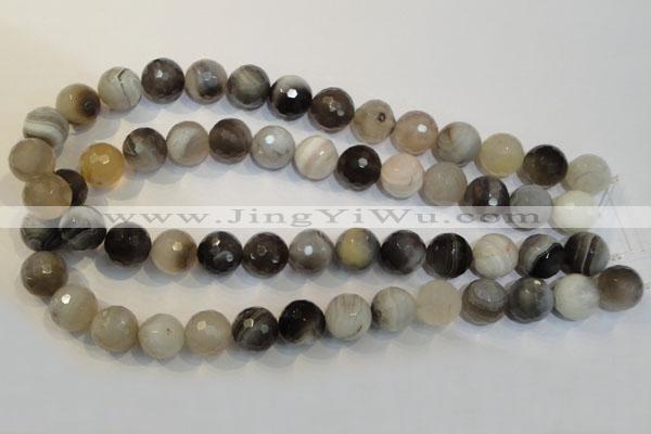 CAG2425 15.5 inches 14mm faceted round Chinese botswana agate beads