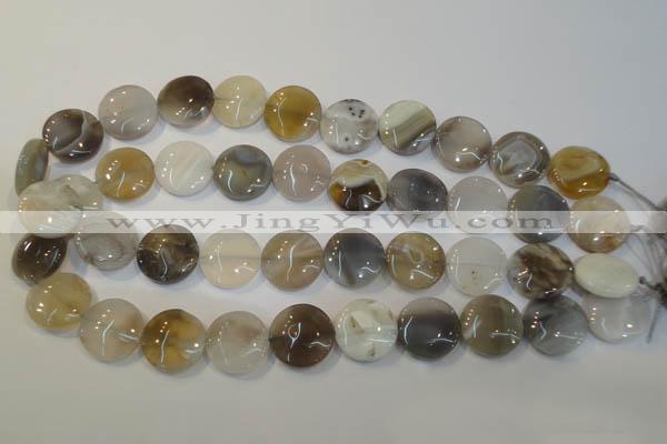CAG2438 15.5 inches 18mm flat round Chinese botswana agate beads