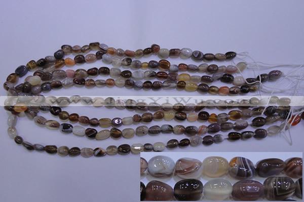 CAG2770 15.5 inches 6*8mm nuggets botswana agate beads wholesale