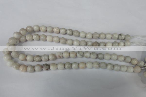 CAG3604 15.5 inches 10mm round natural crazy lace agate beads
