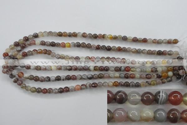 CAG3681 15.5 inches 6mm round botswana agate beads wholesale