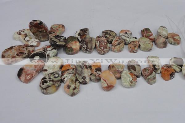 CAG7051 Top drilled 15*20mm - 25*35mm freeform ocean agate beads