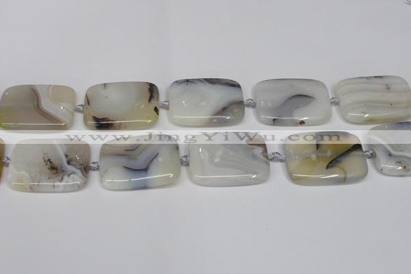 CAG7426 15.5 inches 30*40mm rectangle Montana agate beads