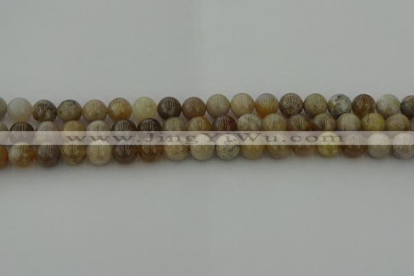 CAG9402 15.5 inches 8mm round ocean fossil agate beads wholesale