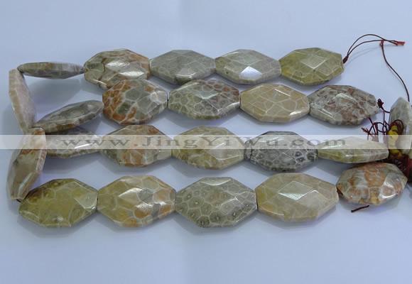 CAG9440 22*30mm - 25*35mm faceted freeform chrysanthemum agate beads