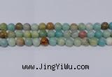 CAM04 10mm  round mixed color natural amazonite beads Wholesale