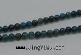 CAP51 15.5 inches 4mm round dyed apatite gemstone beads wholesale