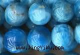 CAP590 15.5 inches 10mm round apatite beads wholesale