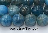 CAP630 15.5 inches 6mm round apatite beads wholesale