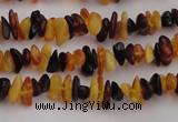 CAR204 24 inches 3*8mm natural amber chips beads wholesale