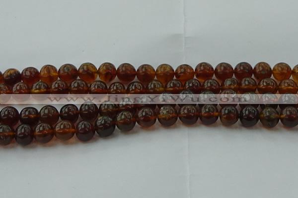 CAR529 15.5 inches 9mm - 10mm round natural amber beads wholesale