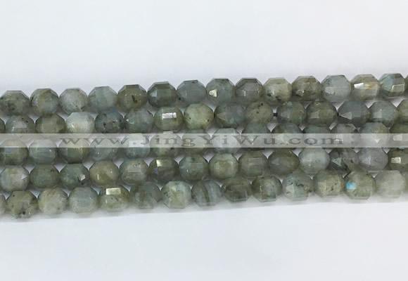 CBBS05 15 inches 8mm faceted prism labradorite beads wholesale