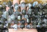 CBBS221 Top drilled 7*16mm - 11*25mm hexahedral prism labradorite beads wholesale