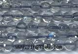 CCB1352 15 inches 2.5mm faceted coin labradorite beads