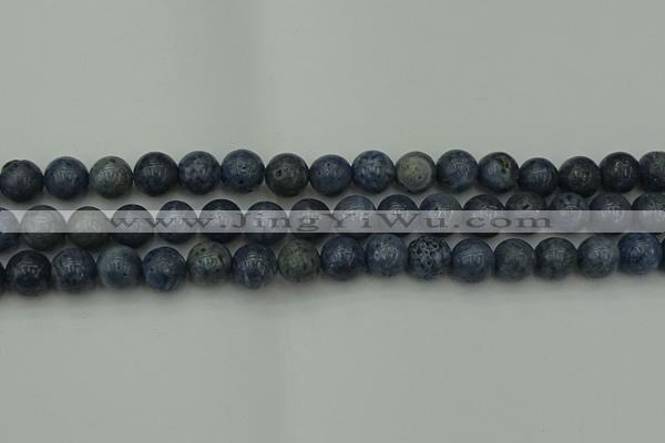 CCB453 15.5 inches 10mm round blue coral beads wholesale