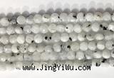 CCB756 15.5 inches 8mm faceted coin white moonstone beads