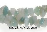 CCH20 32 inches amazonite chips gemstone beads wholesale