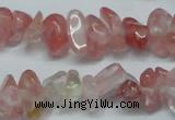 CCH237 34 inches 5*8mm cherry quartz chips beads wholesale