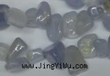 CCH322 15.5 inches 10*15mm blue chalcedony chips beads wholesale