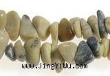 CCH39 35 inches turquoise chips gemstone beads wholesale