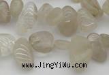 CCH622 15.5 inches 6*8mm - 10*14mm golden rutilated quartz chips beads
