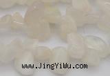CCH624 15.5 inches 6*8mm - 10*14mm white moonstone chips beads