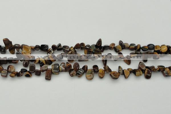 CCH638 15.5 inches 6*8mm - 10*14mm yellow tiger eye chips beads