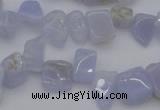 CCH639 15.5 inches 6*8mm - 10*14mm blue lace agate chips beads