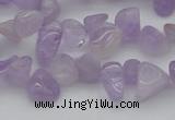 CCH641 15.5 inches 6*8mm - 10*14mm lavender amethyst chips beads