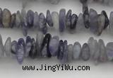 CCH658 15.5 inches 4*6mm - 5*8mm iolite gemstone chips beads