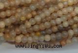 CCS301 15.5 inches 4mm round natural sunstone beads wholesale