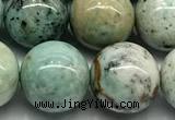 CCS943 15 inches 12mm round chrysocolla beads