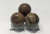 CDN1115 30mm round zebra jasper decorations wholesale