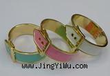 CEB188 27mm width gold plated alloy with enamel bangles wholesale