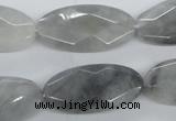 CEE214 15.5 inches 15*30mm faceted oval eagle eye jasper beads