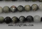 CEE353 15.5 inches 10mm faceted round eagle eye jasper beads