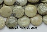 CFA07 15.5 inches 15mm flat round chrysanthemum agate gemstone beads