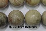 CFA27 15.5 inches 18mm round chrysanthemum agate gemstone beads
