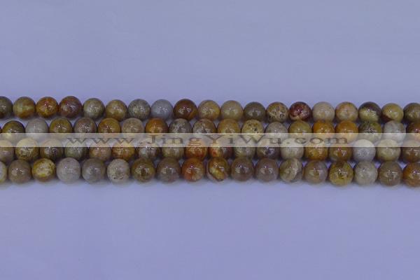 CFC202 15.5 inches 8mm round fossil coral beads wholesale