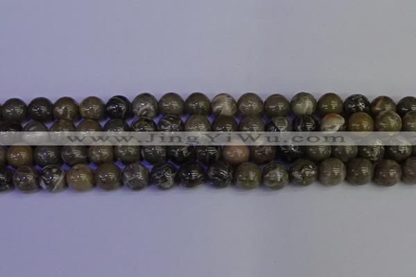 CFC214 15.5 inches 12mm round grey fossil coral beads wholesale