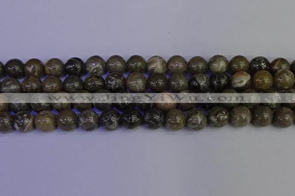 CFC215 15.5 inches 14mm round grey fossil coral beads wholesale