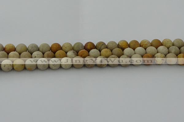 CFC222 15.5 inches 8mm round matte fossil coral beads wholesale