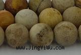 CFC224 15.5 inches 12mm round matte fossil coral beads wholesale